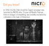 NICRO History